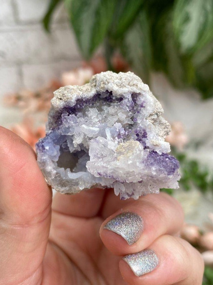 Mexico-Spirit-Flower-Geode-Crystal-for-Sale
