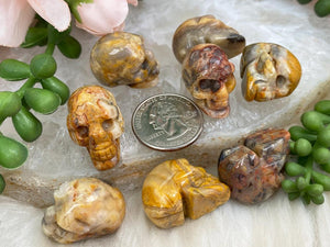 Contempo Crystals - Mini-Crazy-Lace-Agate-Skulls-for-Sale - Image 5