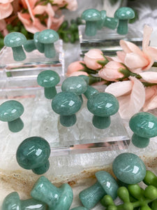 Contempo Crystals - Mini-Green-Aventurine-Mushroom - Image 12