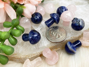 Contempo Crystals - Mini-Mushroom-Crystals-for-Sale - Image 6