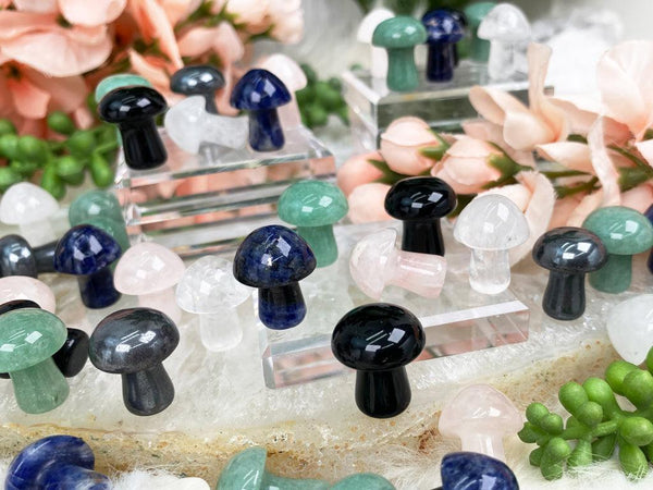 Mini Mushroom Crystals - Multiple Stone Options! – Contempo Crystals