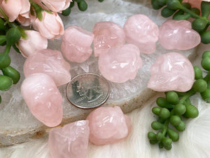 Contempo Crystals - Mini-Rose-Quartz-Skulls-for-Sale - Image 4