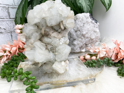 Modern-Apophyllite-Crystals-on-Stands