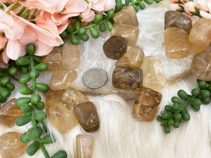 Contempo Crystals - Natural-Citrine-Tumbles-from-India - Image 5