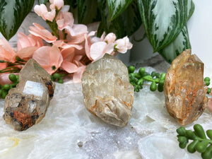 Contempo Crystals - Natural-Congo-Citrine-Crystal-Cluster-Specimens - Image 5