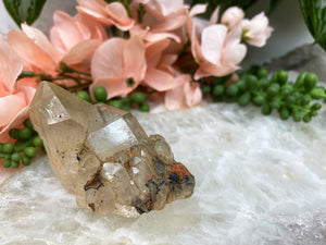 Contempo Crystals - Natural-Congo-Citrine-Crystal-Cluster-with-Iron - Image 3