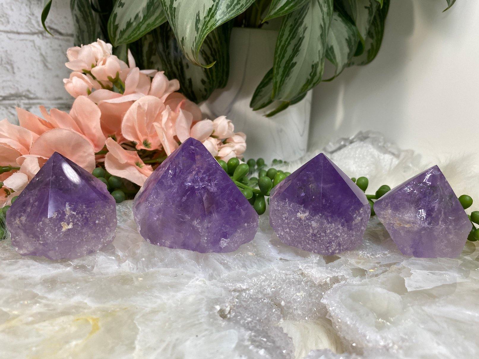 Adorable standing amethyst flames with a great vibrant purple color. 