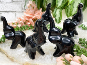 Contempo Crystals - Obsidian-Elephant-Crystal - Image 1