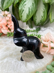 Contempo Crystals - Obsidian-Elephant-for-Sale - Image 7