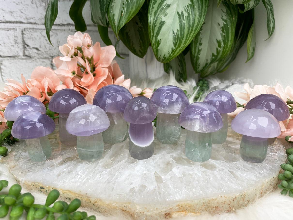 PAstel-Green-Purple-Fluorite-Mushrooms