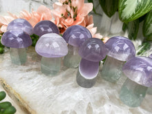 Load image into Gallery: Contempo Crystals - Pastel Fluorite Crystal Mushrooms - Image 19