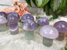 Load image into Gallery: Contempo Crystals - Pastel-Fluorite-Mushrooms - Image 3