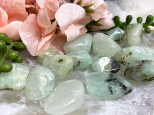 Contempo Crystals - Tumbled-Pastel-Green-Prehnite-Crystal-from-Contempo-Crystals - Image 2