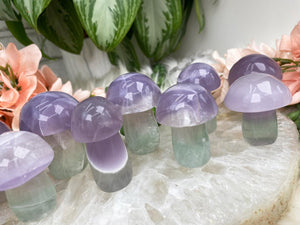 Contempo Crystals - Pastel-Purple-and-Green-Mushrooms - Image 3