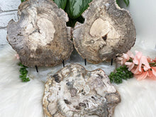 Load image into Gallery: Contempo Crystals - Petrified-Wood-Slices-Indonesia - Image 5