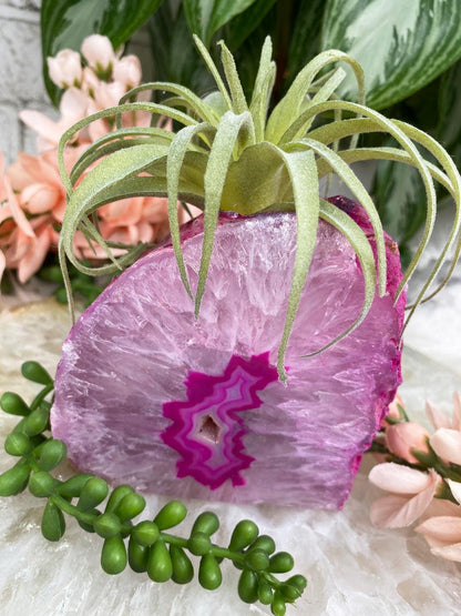 Pink-Agate-Candle-Holder--for-Air-Plants