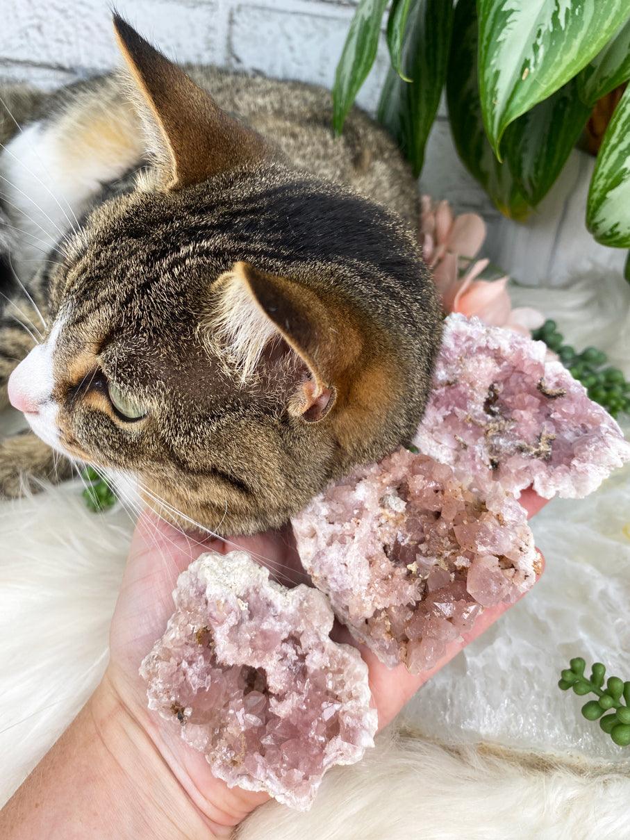 Pink-Amethyst-Geodes-with-Tabby-Cat