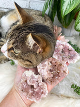 Load image into Gallery: Contempo Crystals - Pink-Amethyst-Geodes-with-Tabby-Cat - Image 4