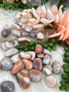 Contempo Crystals - Pink-Botswana-Agate-Stones - Image 2