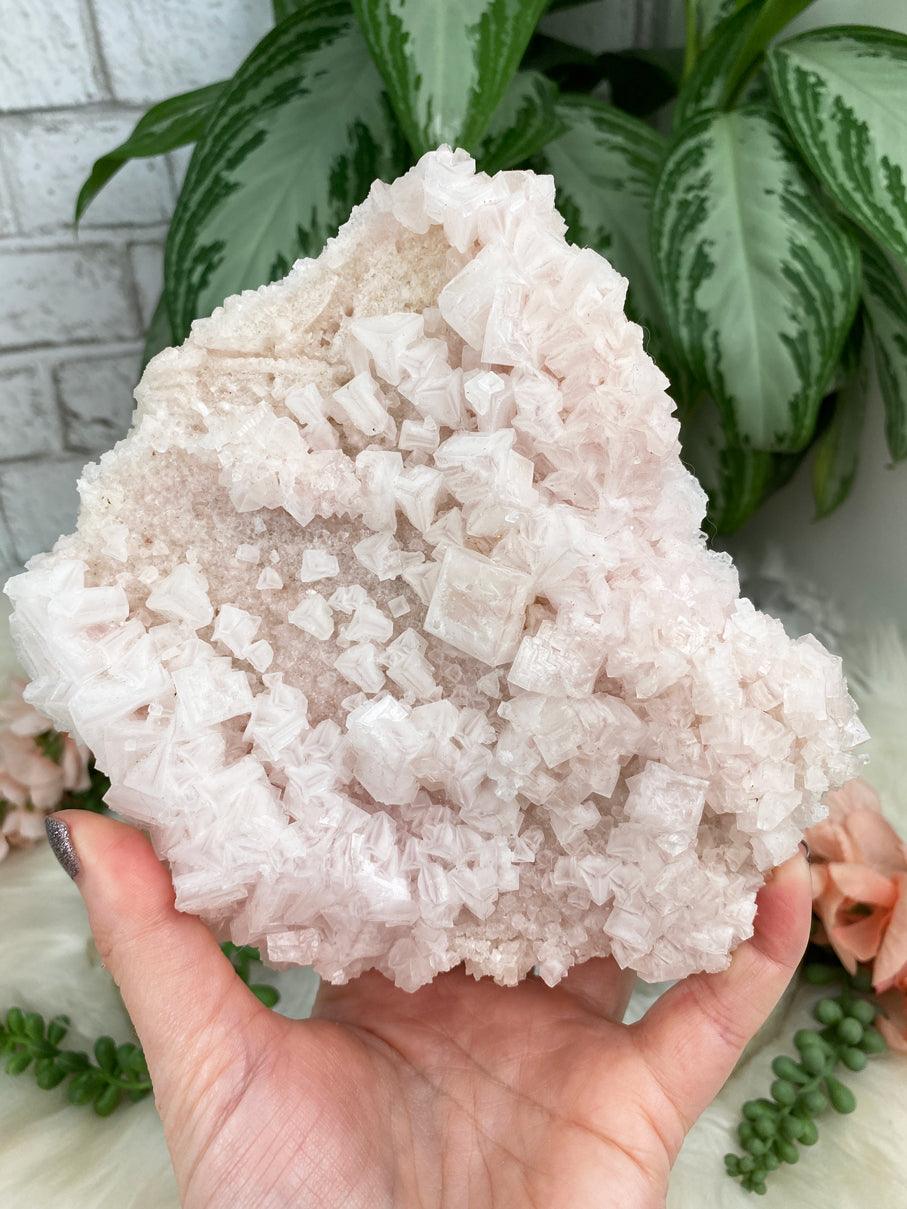 Pink-Halite-Cluster