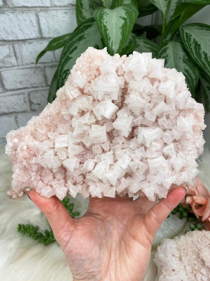 Pink-Halite-Salt-Crystal-Cluster