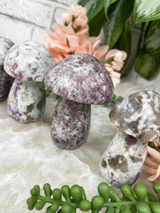 Contempo Crystals -    Pink-Tourmaline-Mushrooms - Image 4