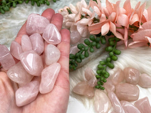 Contempo Crystals - ink-Tumbled-Rose-Quartz-Crystals-for-sale. - Image 3