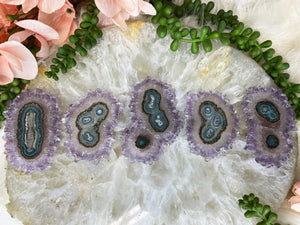 Contempo Crystals - Polished-Amethyst-Stalactite-Crystal-Slices-for-Crystal-Collectors-for-sale - Image 8