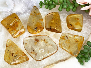 Contempo Crystals -    Polished-Bugs-in-Amber - Image 3
