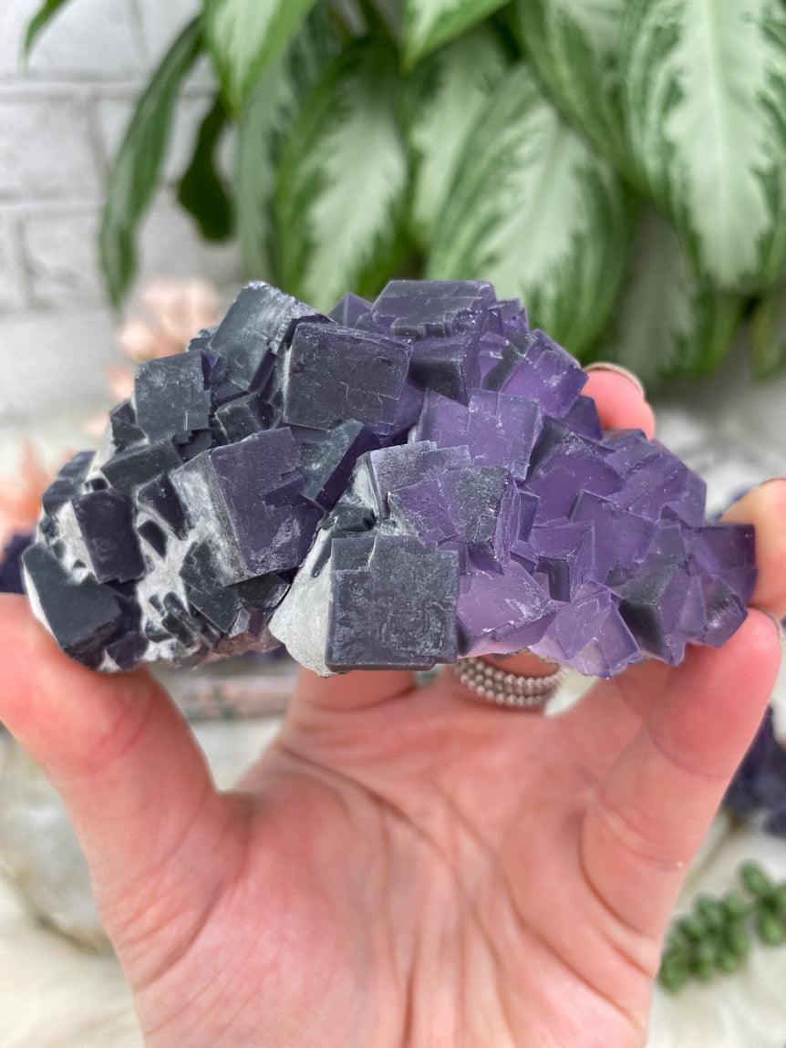 Purple-Fluorite-Cluster-With-White