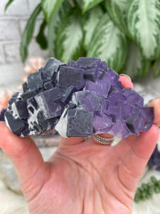 Contempo Crystals - Purple-Fluorite-Cluster-With-White - Image 13