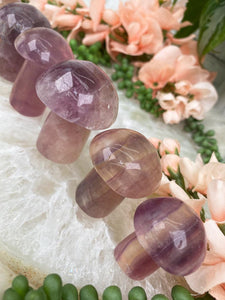 Contempo Crystals - Purple-Fluorite-Mushroom-Carvings - Image 6