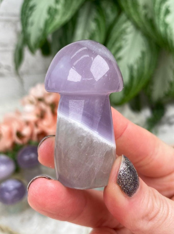Purple-Fluorite-Mushroom-Crystal