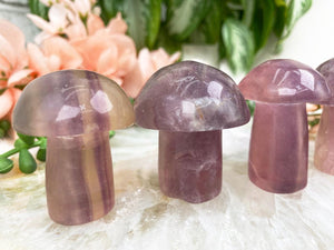 Contempo Crystals - Purple-Fluorite-Mushrooms - Image 1