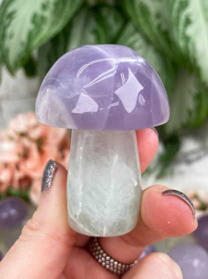 Pastel Fluorite Crystal Mushrooms
