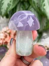 Load image into Gallery: Contempo Crystals - Pastel Fluorite Crystal Mushrooms - Image 10