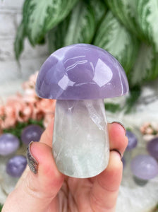 Contempo Crystals - Pastel Fluorite Crystal Mushrooms - Image 8