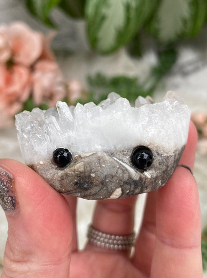 Quartz Hedgehogs