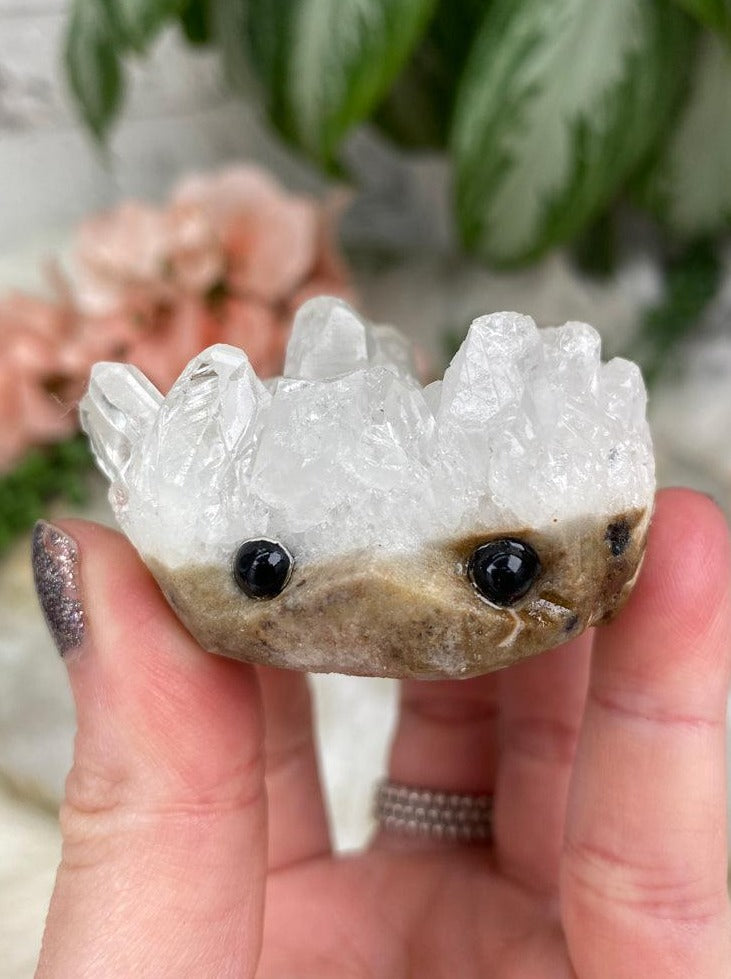 Quartz Hedgehogs