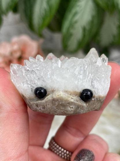 Quartz Hedgehogs