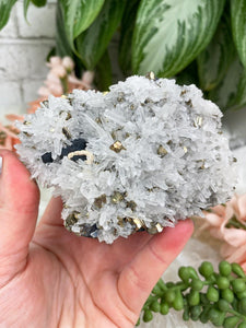 Contempo Crystals -    Quartz-Pyrite-Crystal-Cluster-from-Peru - Image 7