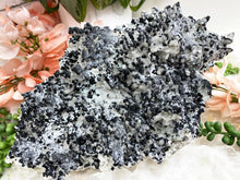 Load image into Gallery: Contempo Crystals - Quartz-with-Black-Ilvaite-Crystal-Cluster-Dalnegorsk-Russia-for-sale - Image 1