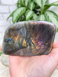 Contempo Crystals - Rainbow-Labradorite-Freeform - Image 8