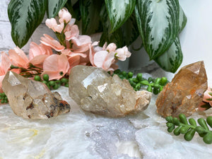Contempo Crystals - Raw-Citrine-Clusters-from-Congo - Image 2