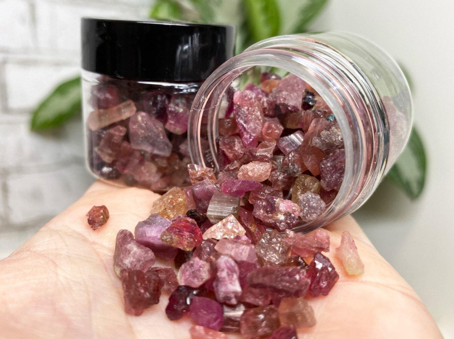 Raw pink red tourmaline rubelite crystals in jar
