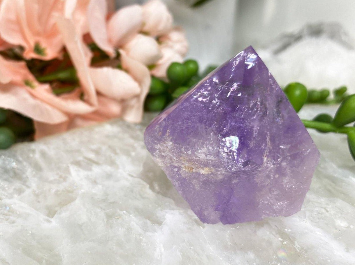 Adorable standing amethyst flames with a great vibrant purple color. 