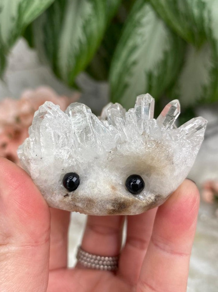 Quartz Hedgehogs