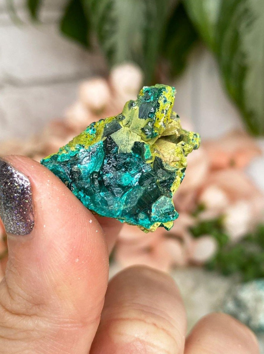 Raw-Teal-Dioptase-Green-Duftite-Crystal-Specimens