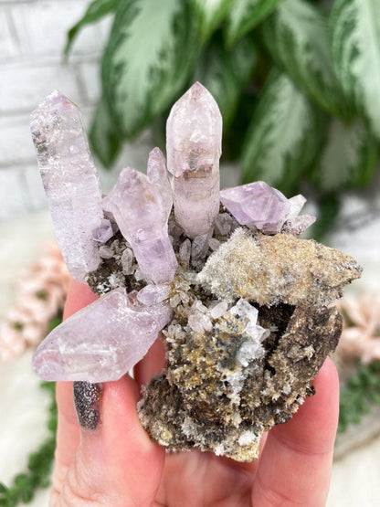 Scepter-Vera-Cruz-Amethyst-Cluster