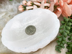 Contempo Crystals - Selenite-Scallop-Bowl - Image 4